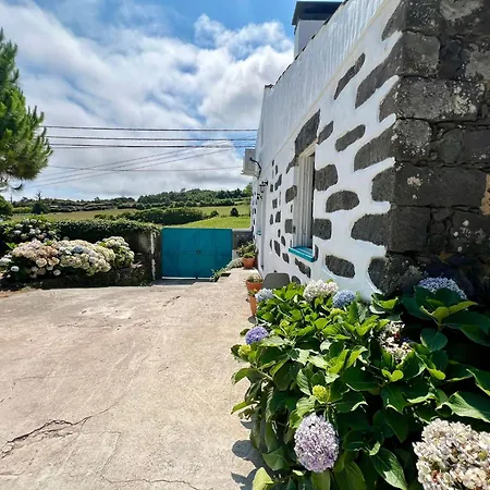 Willa Az Solar And Secret Garden São Vicente Ferreira