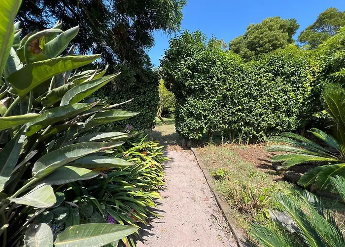 Az Solar And Secret Garden * Sao Vicente Ferreira