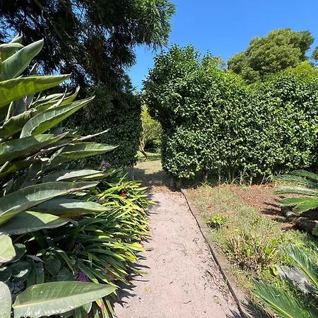 Az Solar And Secret Garden * São Vicente Ferreira